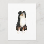 AUSTRALIAN SHEPHERD (A) - Tri Color Postkarte (Vorderseite)