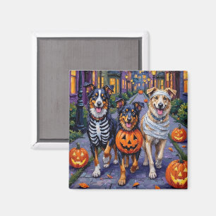 Australian Shepherd beim Trick-or-Treat an Hallowe Magnet