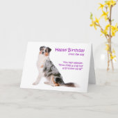 Australian Shepherd Birthday Card Karte (Gelbe Blume)