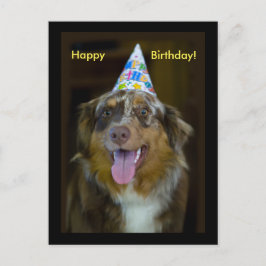 Australian Shepherd Birthday Party Dog Einladungspostkarte