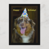 Australian Shepherd Birthday Party Dog Einladungspostkarte (Vorderseite)