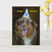 Australian Shepherd Birthday Party Dog Karte (Gelbe Blume)