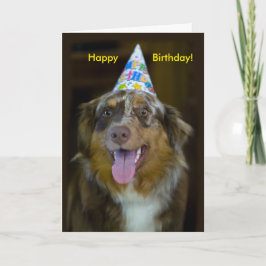 Australian Shepherd Birthday Party Dog Karte