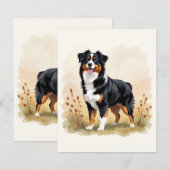Australian Shepherd Black Tricolor Aussie Dog (Vorne/Hinten)
