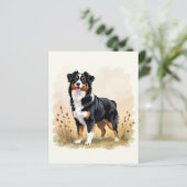Australian Shepherd Black Tricolor Aussie Dog (Stehend Vorderseite)