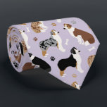 Australian Shepherd Bones and Paws Purple Krawatte<br><div class="desc">Cute Australian Shepherds / Aussie dogs in black,  brown and merle coats sit and stand scattered dog bones and paw prints on a light purple background.</div>
