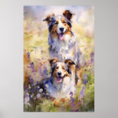 Australian Shepherd bunte Aquarellkunst Poster (Vorne)
