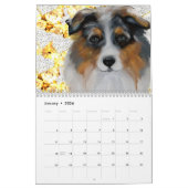 AUSTRALIAN SHEPHERD CALENDAR KALENDER (Jan 2026)