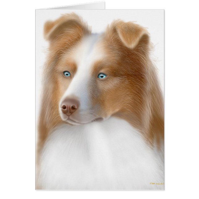 Australian Shepherd Card (Vorne)