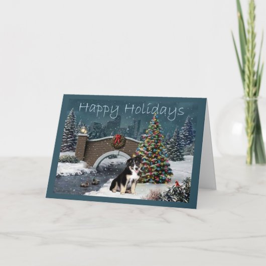 Australian Shepherd Christmas Card Abend Feiertagskarte (Vorderseite)