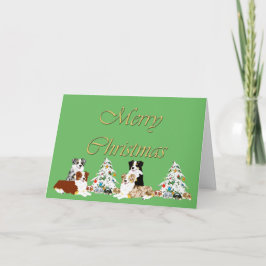 Australian Shepherd Christmas Card Feiertagskarte
