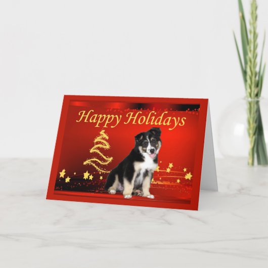 Australian Shepherd Christmas Card Stars Feiertagskarte (Vorderseite)