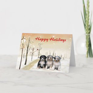 Australian Shepherd Christmas Card Urban Feiertagskarte
