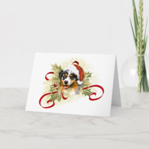 Australian Shepherd Christmas Cards Feiertagskarte