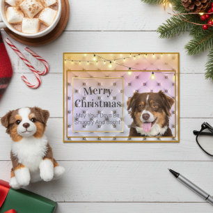 Australian Shepherd Christmas Diamond Pattern Feiertagspostkarte