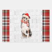 Australian Shepherd Christmas Dog und Kariert Geschenkpapier Set (Vorderseite)