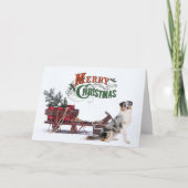 Australian Shepherd Christmas Feiertagskarte (Vorderseite)