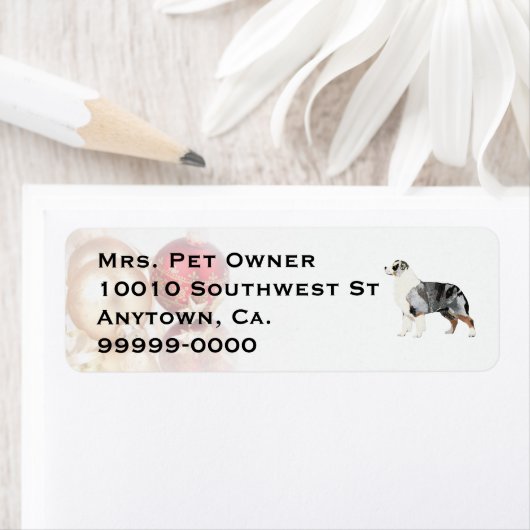 Australian Shepherd Christmas Return Address Label (Insitu)