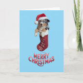 Australian Shepherd Christmas Strumpf Karte (Vorderseite)