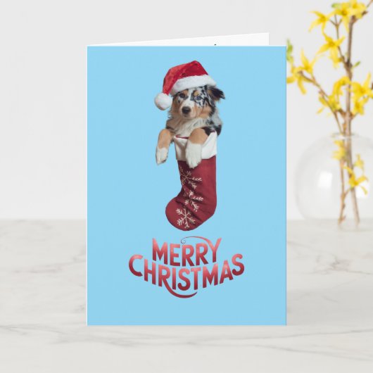 Australian Shepherd Christmas Strumpf Karte (Gelbe Blume)