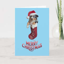 Australian Shepherd Christmas Strumpf Karte
