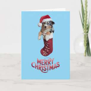 Australian Shepherd Christmas Strumpf Karte