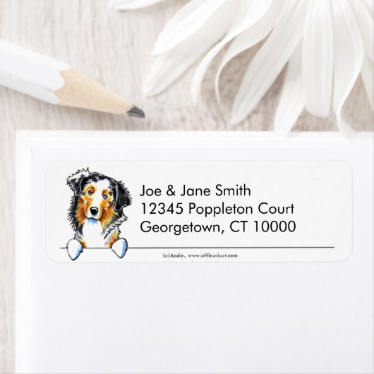 Australian Shepherd Clean n Simple (Insitu)