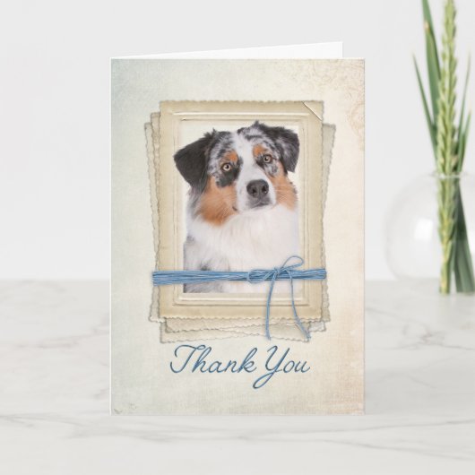 Australian Shepherd Danke-Card Dankeskarte (Vorderseite)
