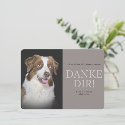 Australian Shepherd Dankeskarte (Stehend Vorderseite)