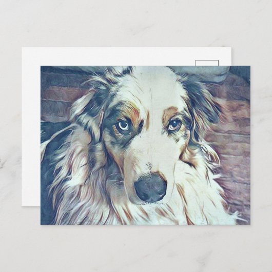 Australian Shepherd Digital Art Postkarte (Vorne/Hinten)
