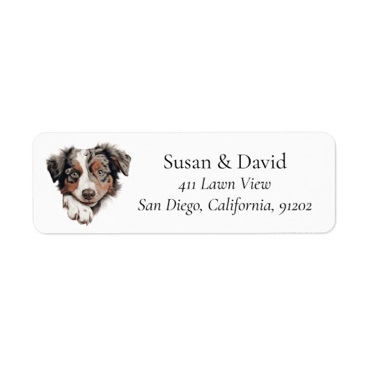 Australian Shepherd Dog (Vorne)