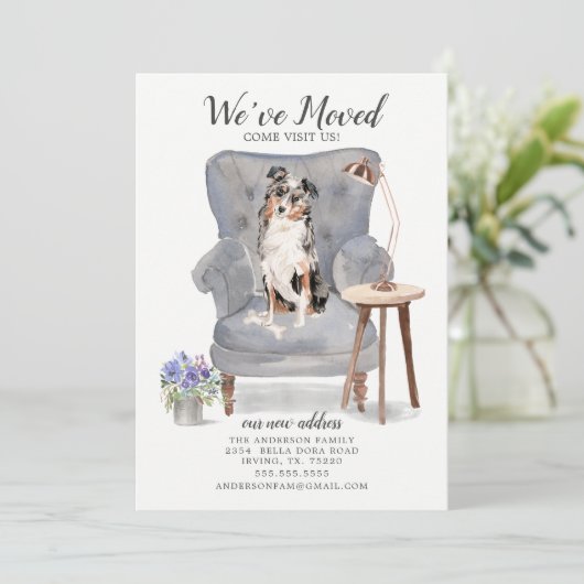 Australian Shepherd Dog | Ankündigung der Beförder (Stehend Vorderseite)