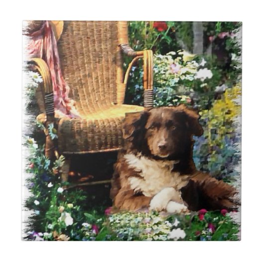 Australian Shepherd Dog Art Fliese (Vorderseite)