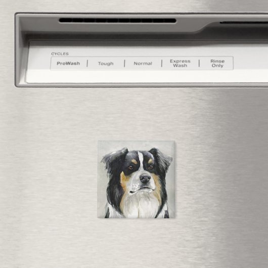 Australian Shepherd Dog Art Magnet (In Situ (Geschirrspüler))