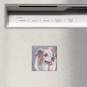 Australian Shepherd Dog Art Magnet (In Situ (Geschirrspüler))