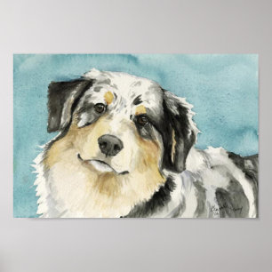 "Australian Shepherd" Dog Art Print Poster