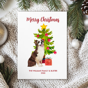 Australian Shepherd Dog Christmas Feiertagskarte