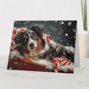 Australian Shepherd Dog Christmas Festive Karte