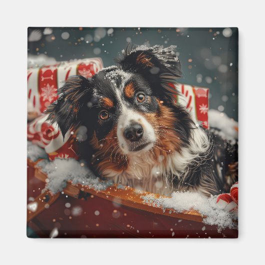 Australian Shepherd Dog Christmas Festive Magnet (Vorne)