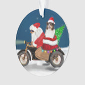 Australian Shepherd Dog Christmas Weihnachtsmann Ornament (Vorderseite)