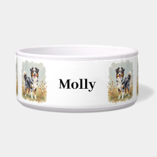 Australian Shepherd Dog Merle Long Schwanz Napf