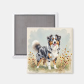 Australian Shepherd Dog Merle Long Tail Magnet (Vorderseite/Rückseite)