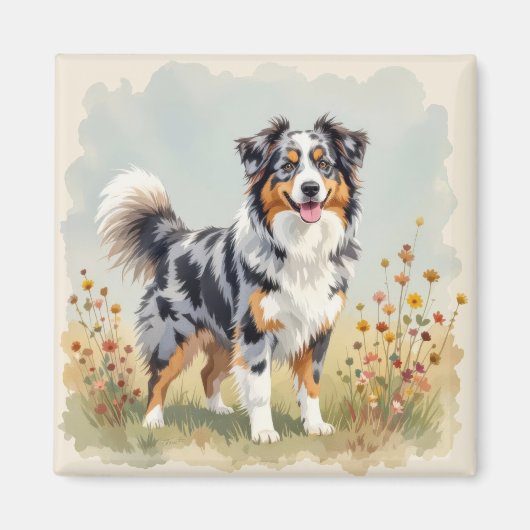 Australian Shepherd Dog Merle Long Tail Magnet (Vorne)