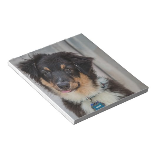 Australian Shepherd Dog Notizblock (angewinkelt)