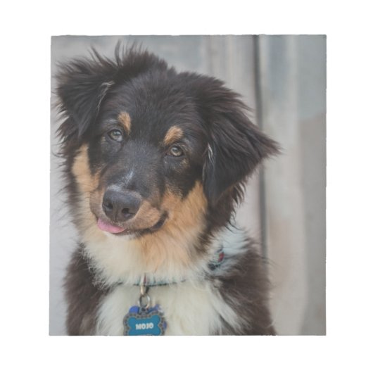 Australian Shepherd Dog Notizblock (Vorderseite)