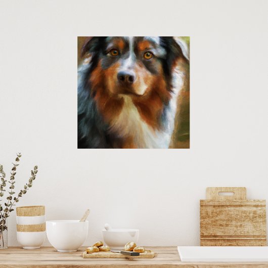 Australian Shepherd - Dog Portrait Poster (Küche)