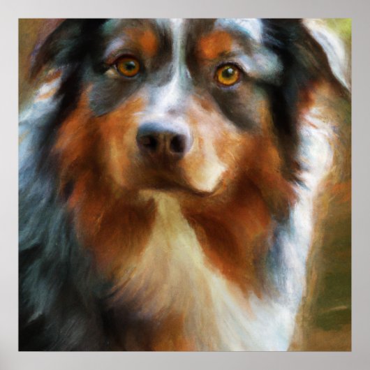 Australian Shepherd - Dog Portrait Poster (Vorne)