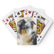 Australian shepherd dog portrait