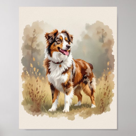 Australian Shepherd Dog Red Merle Aussie Poster (Vorne)
