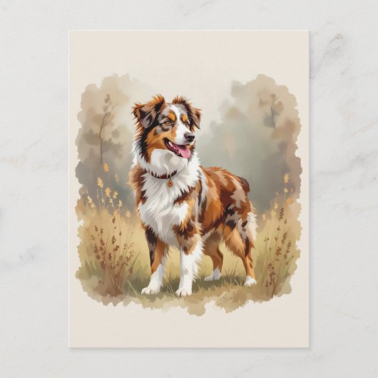 Australian Shepherd Dog Red Merle Aussie Postkarte (Vorderseite)